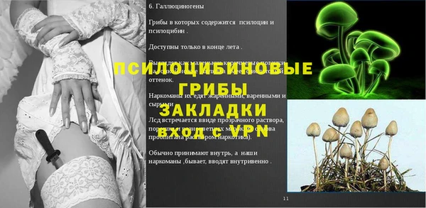 крисы Верхнеуральск