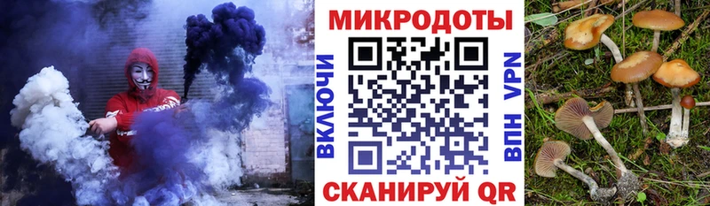 Галлюциногенные грибы Psilocybe  Нижний Новгород 